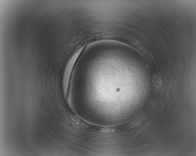 X0000060570760200511071019