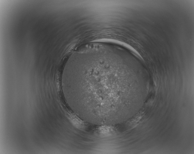 X0000060570762200511071019