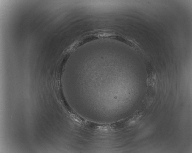 X0000060570763200511071019