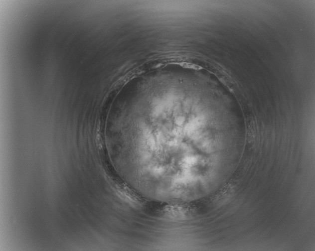 X0000060570764200511071019