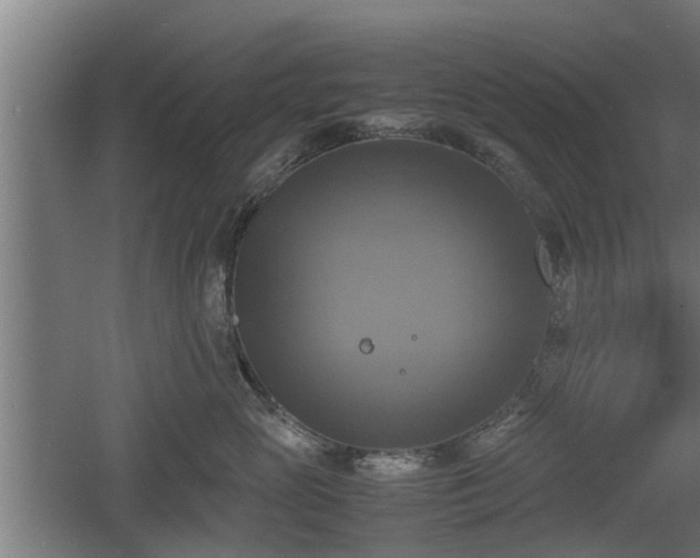 X0000060570765200511071019