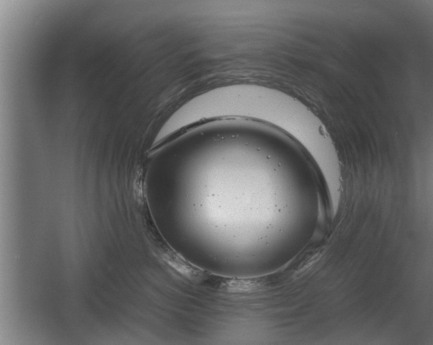 X0000060570766200511071019