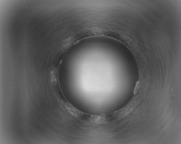 X0000060570768200511071019