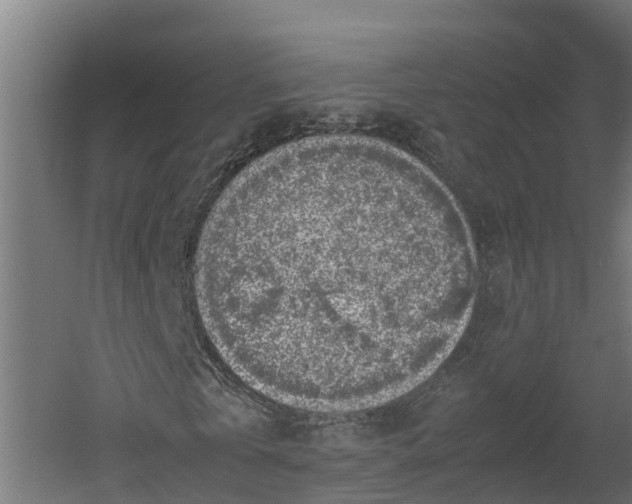 X0000060570769200511071018