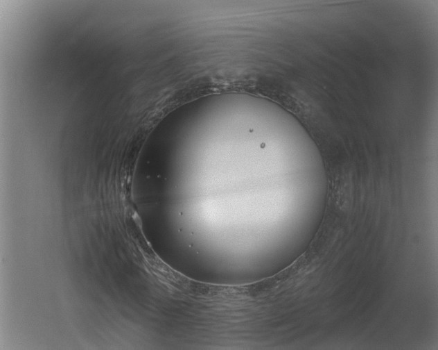 X0000060570770200511071018