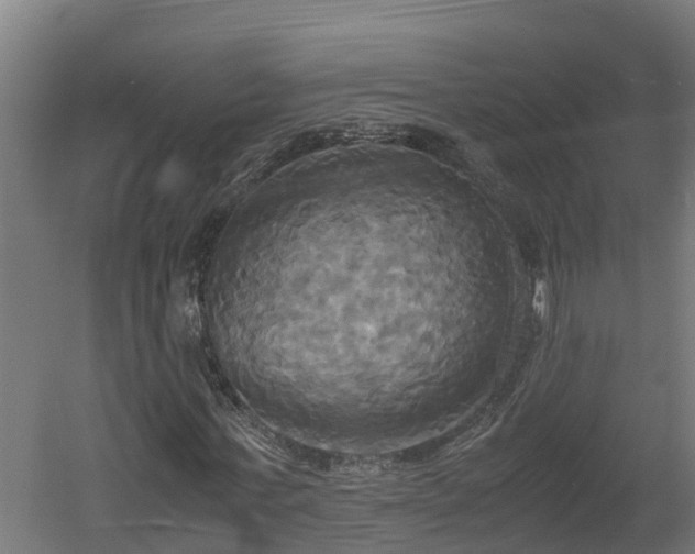 X0000060570771200511071018