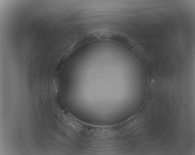 X0000060570772200511071018