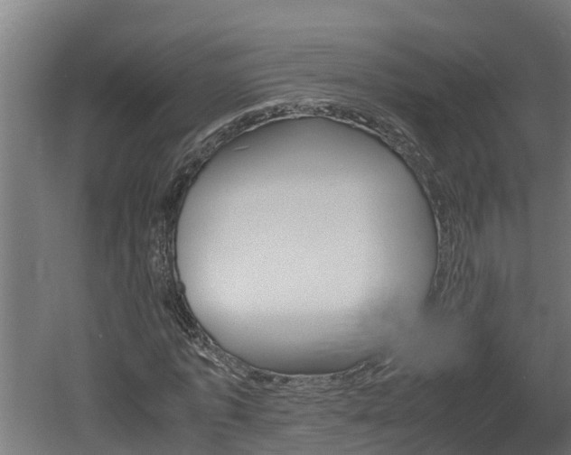 X0000060570773200511071018