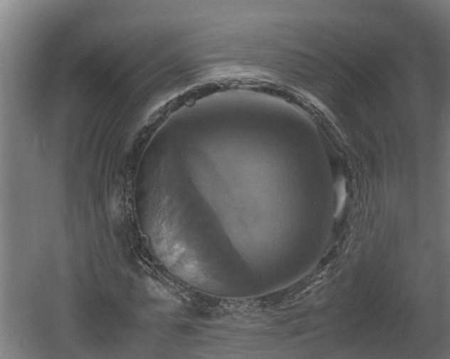 X0000060570775200511071018