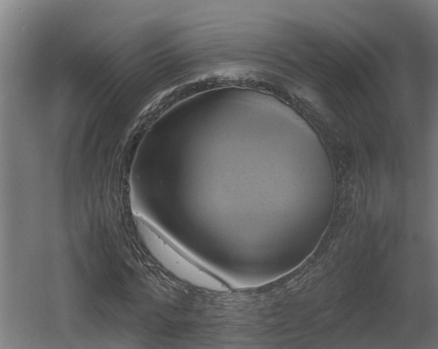 X0000060570776200511071018