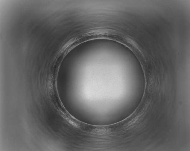 X0000060570778200511071018