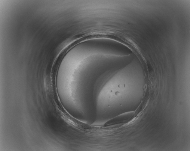 X0000060570779200511071018