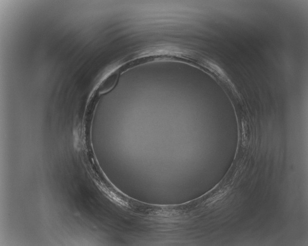 X0000060570780200511071018