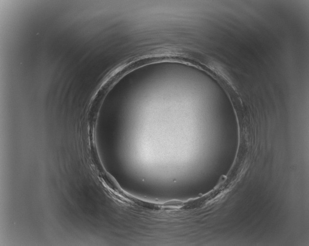 X0000060570781200511071018