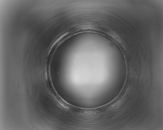 X0000060570782200511071018