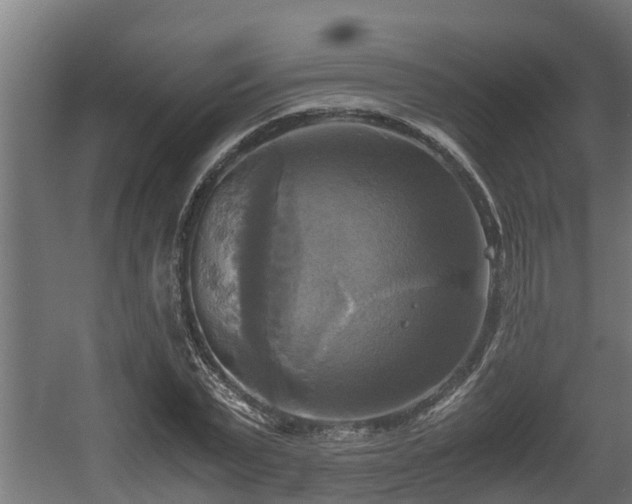 X0000060570783200511071018