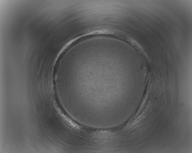 X0000060570784200511071018