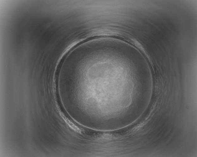 X0000060570787200511071018