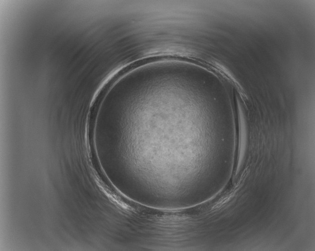 X0000060570788200511071018