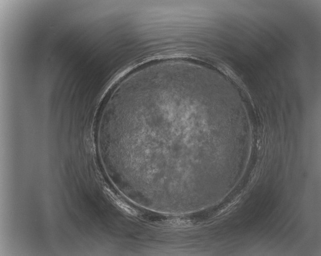 X0000060570789200511071018