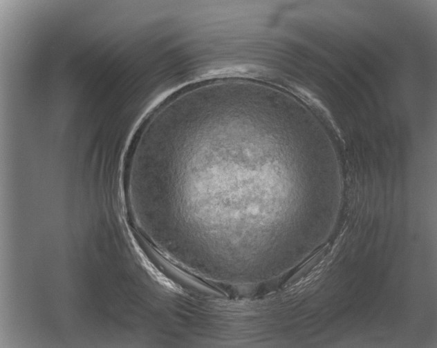 X0000060570792200511071018