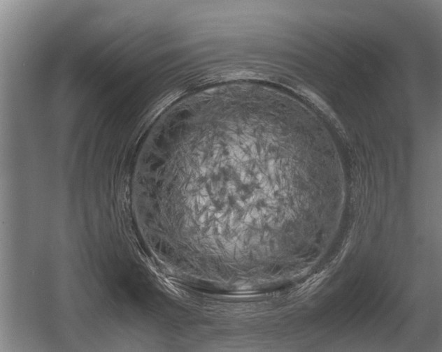 X0000060570793200511071018