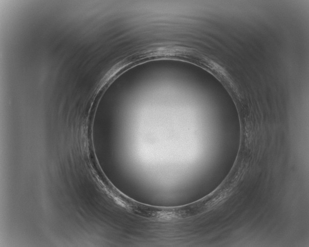 X0000060570794200511071018