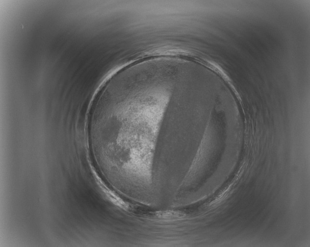 X0000060570795200511071018