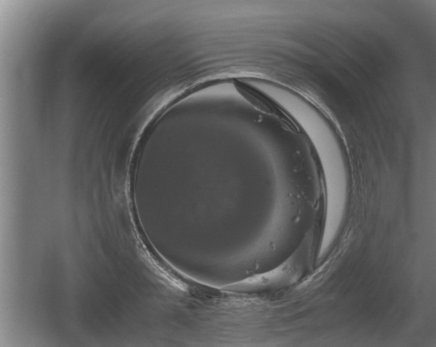 X0000060570797200511071018