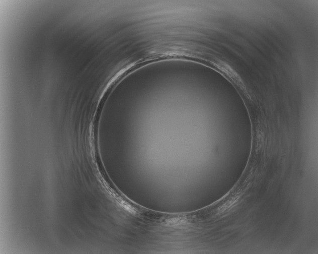 X0000060570798200511071018