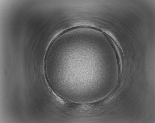 X0000060570799200511071018