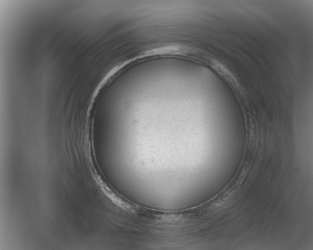 X0000060570800200511071018