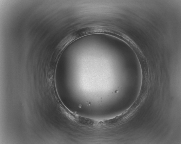 X0000060570801200511071018