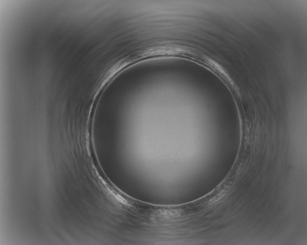 X0000060570802200511071018