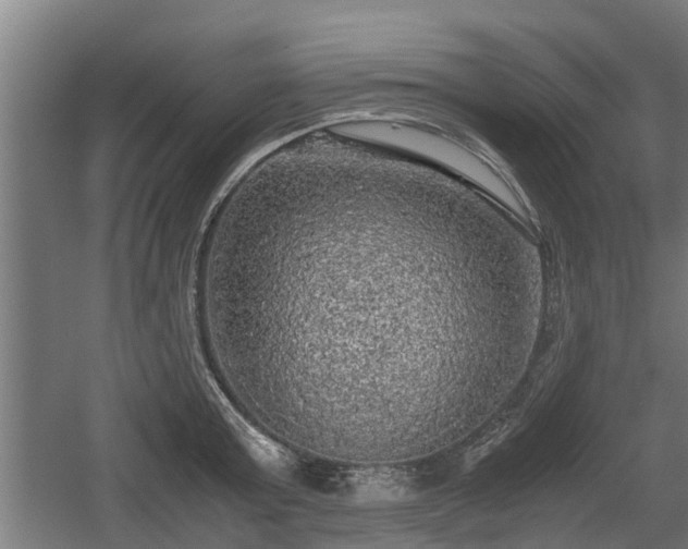 X0000060570803200511071018