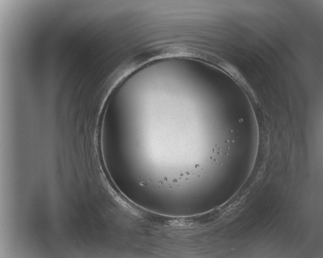 X0000060570805200511071018