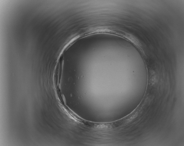 X0000060570806200511071018