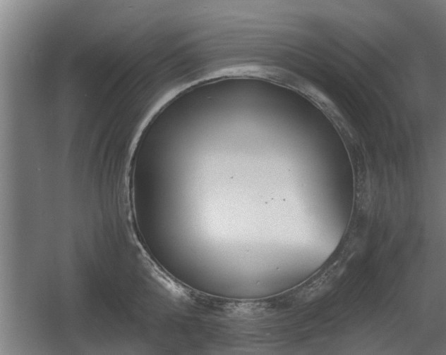 X0000060570808200511071017