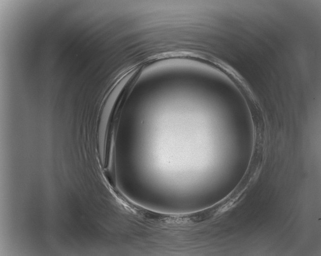 X0000060570809200511071017