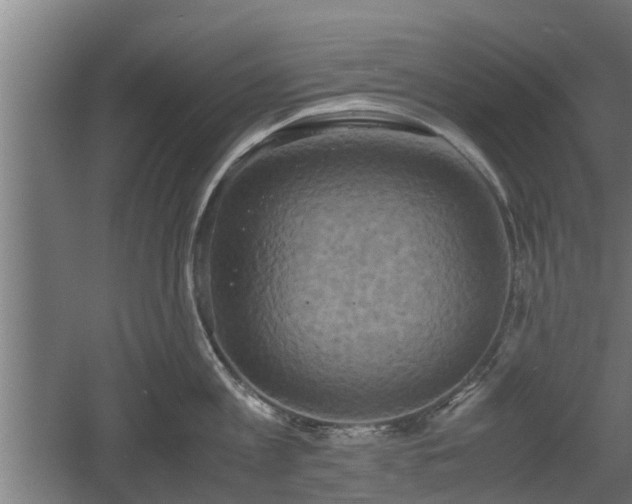 X0000060570813200511071017