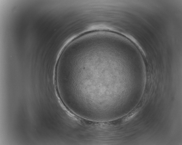 X0000060570815200511071017