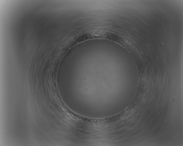 X0000060570817200511071017