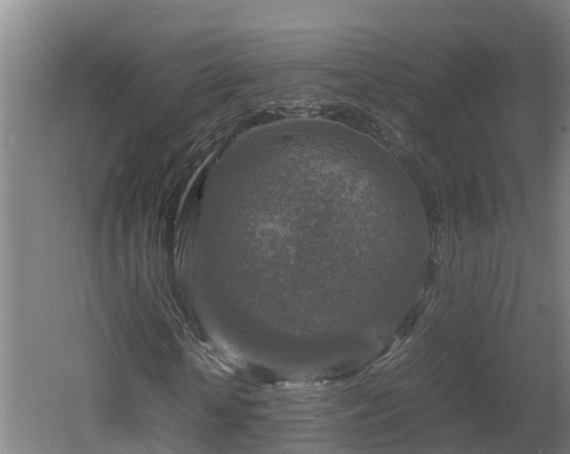 X0000060570818200511071017