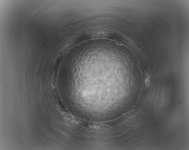 X0000060570819200511071017