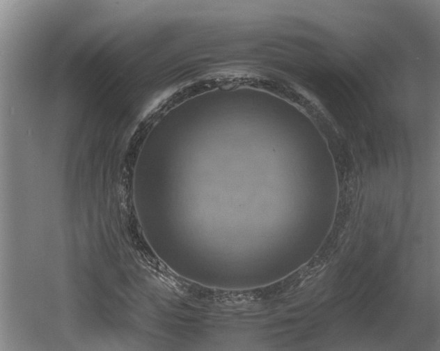 X0000060570823200511071017