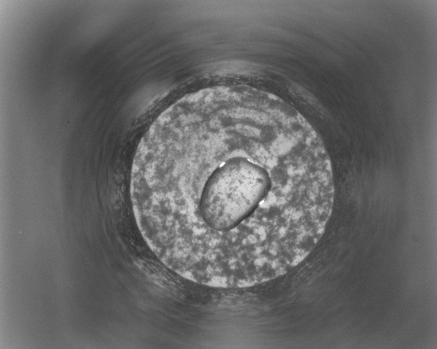 X0000060570824200511071017