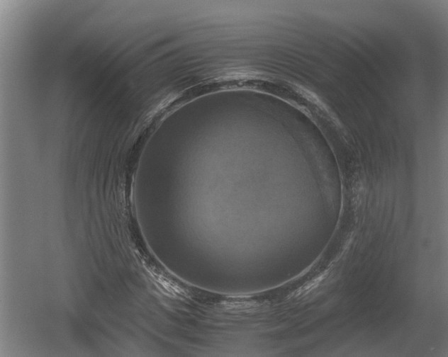 X0000060570825200511071017