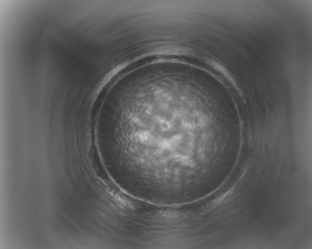 X0000060570829200511071017