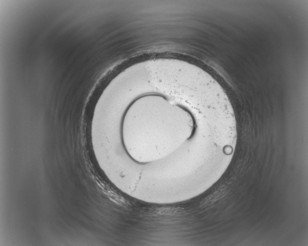 X0000060570832200511071017