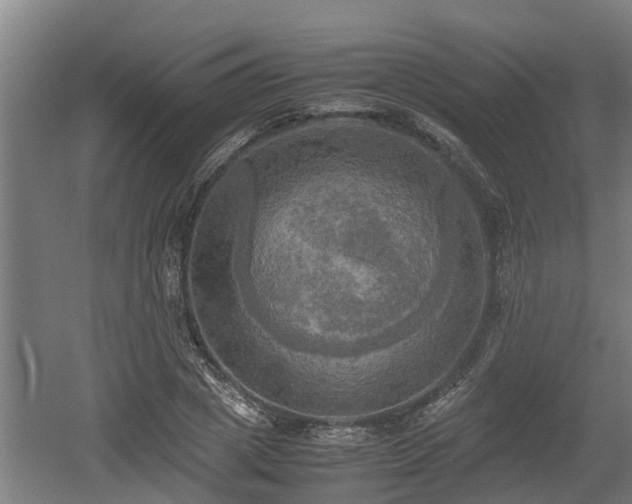 X0000060570833200511071017